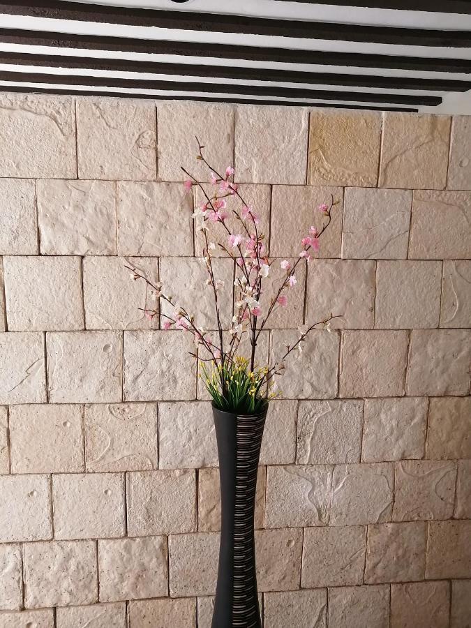 Casa Mama Bety Διαμέρισμα Βαγιαδολίδ Εξωτερικό φωτογραφία